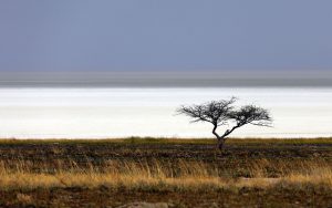 Dry_Etosha_Pan